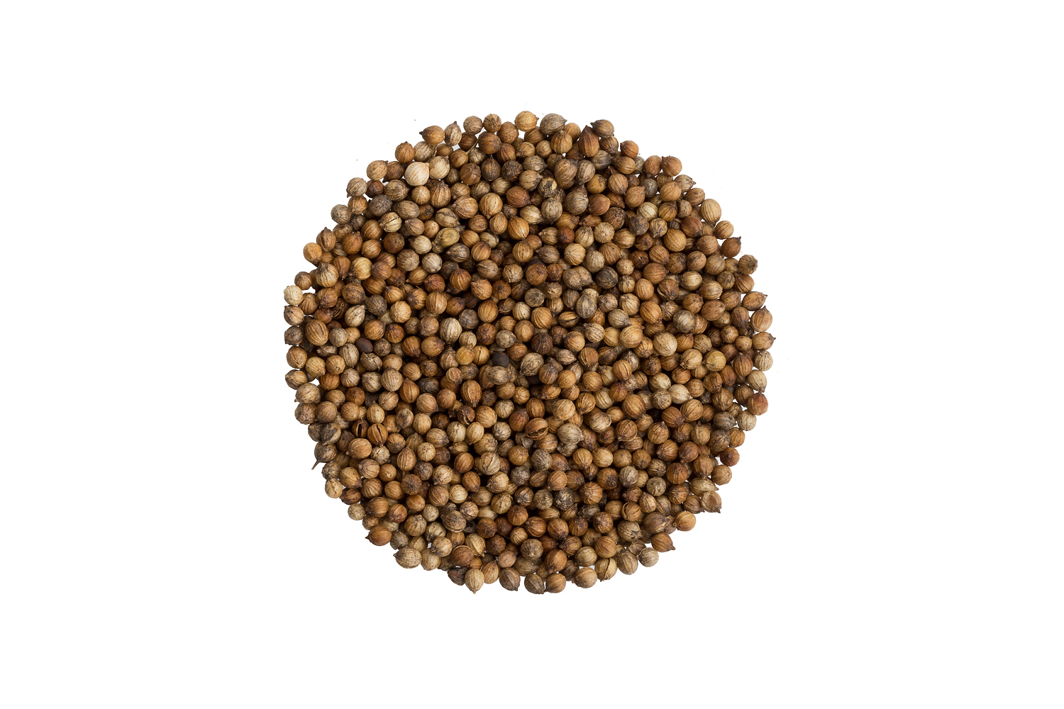Koriander celý bio 25g