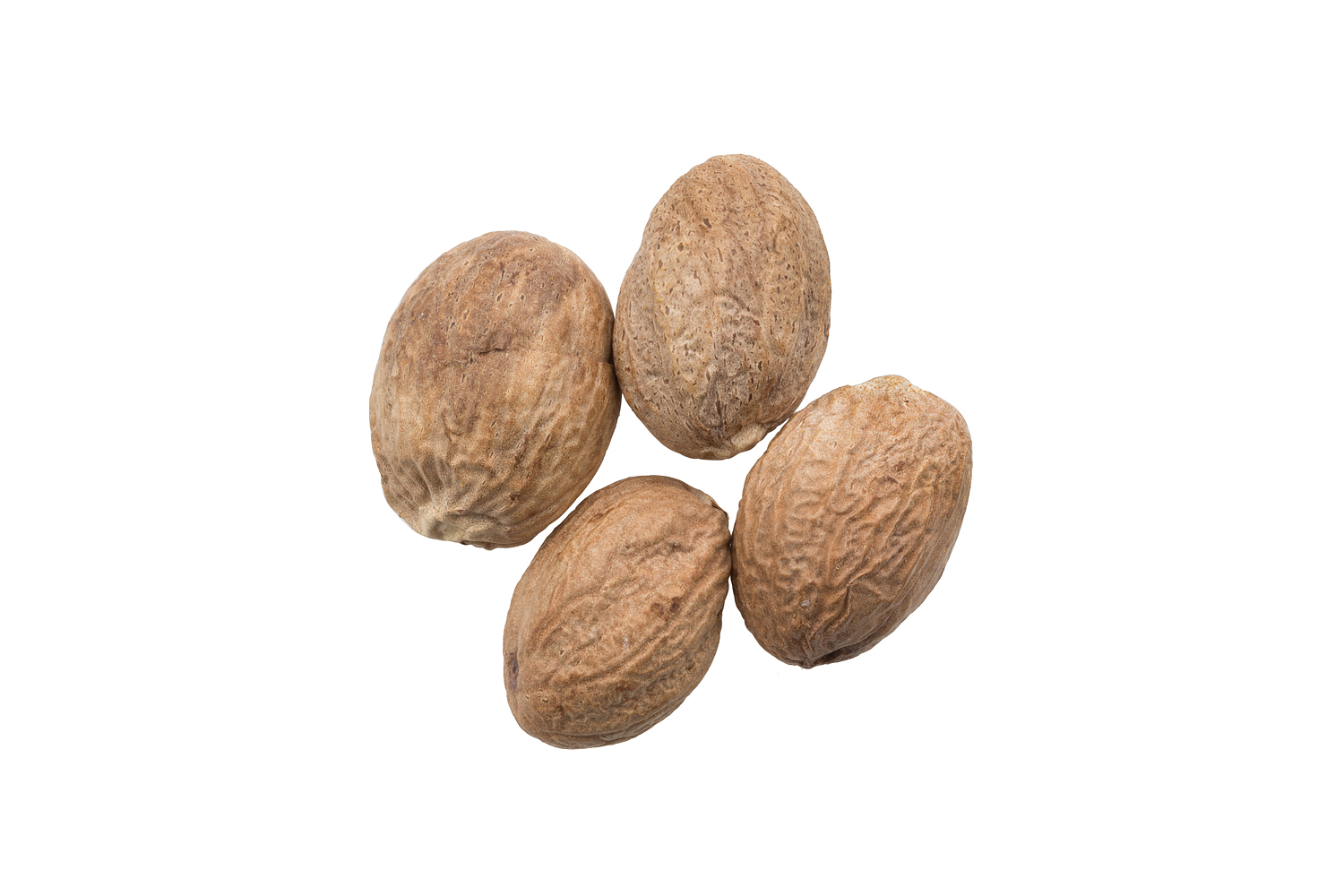 _vyr_29muskatovy_orech_cely